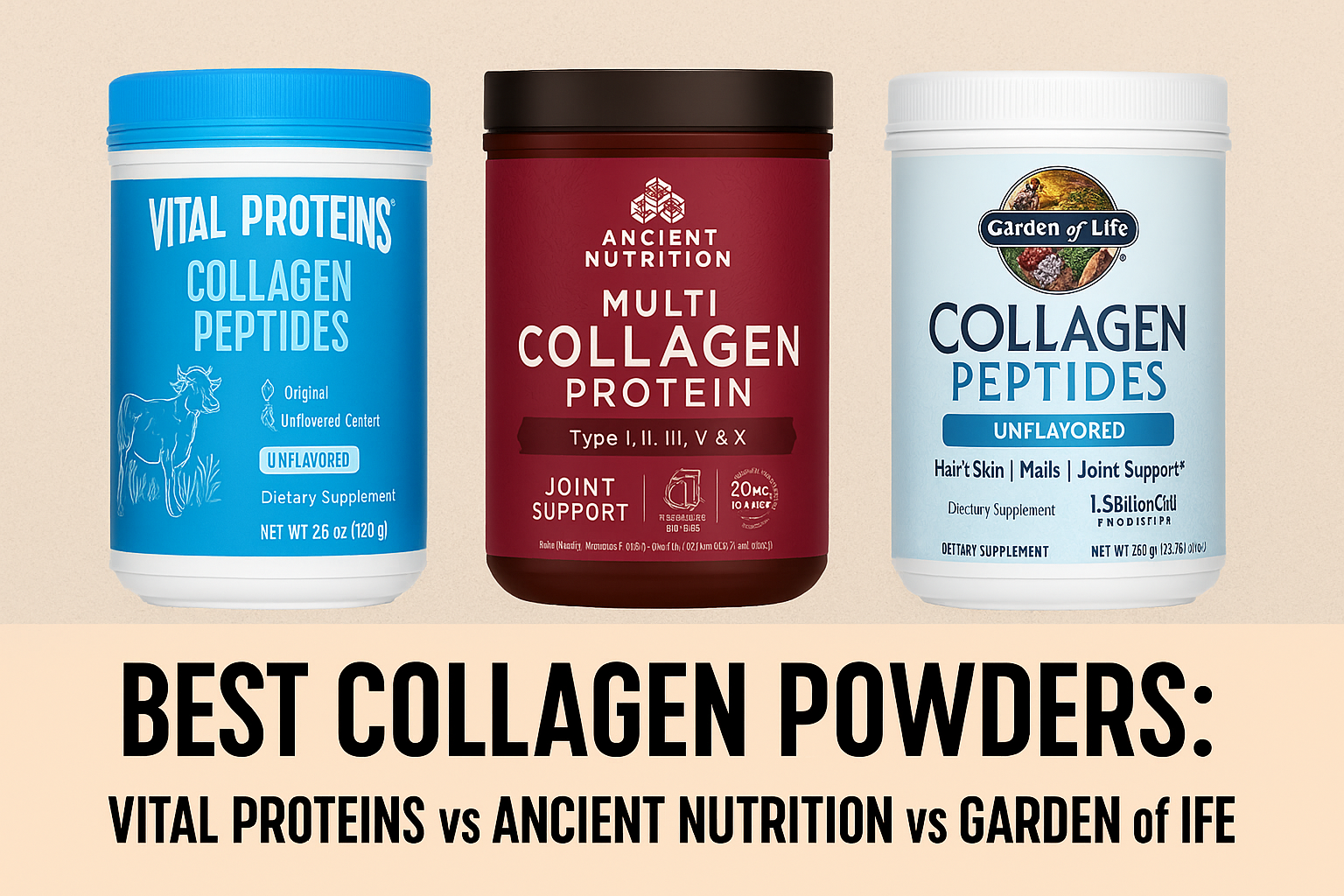Best Collagen Powders