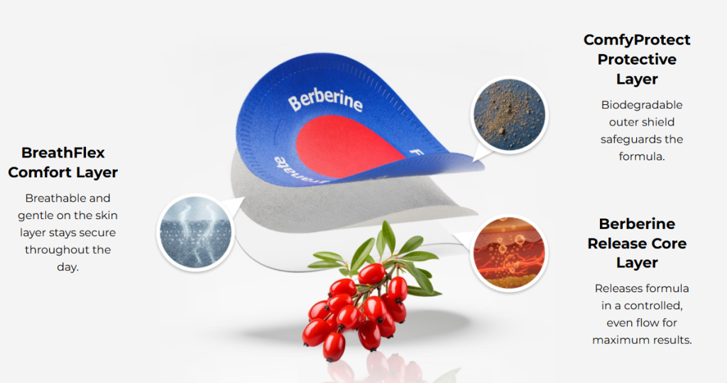 Purisaki Berberine Patches Review 2026 - Pros, Cons & What They Don't Tell You 5 Purisaki Berberine Patches Features