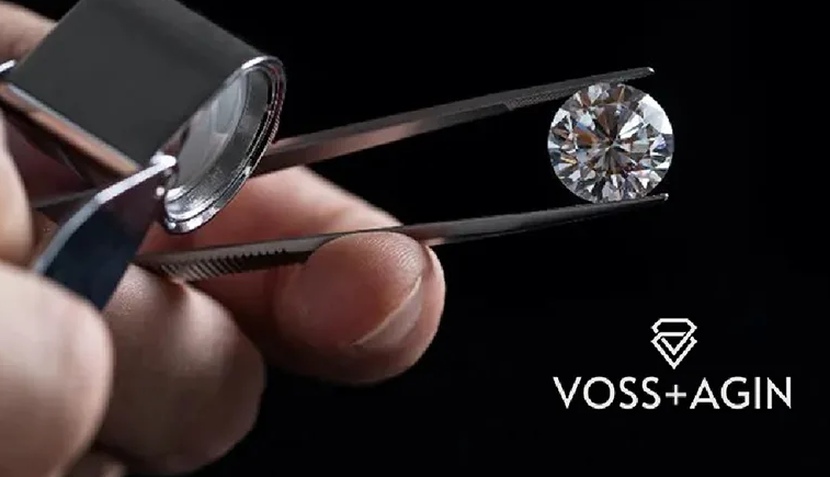 Best At-Home Beauty Devices for Glowing Skin in 2026: Top 10 Expert-Tested Picks 6 VOSS + AGIN Reviews