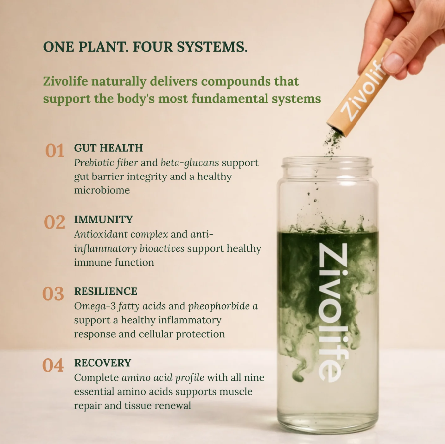 ZivoLife Features