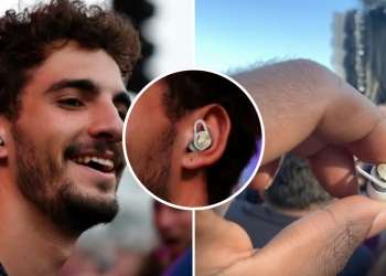 Hears Earplugs Review
